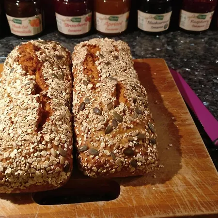 بيت شباب Old Mill Holiday